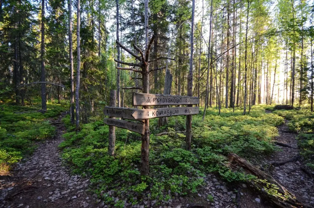 Salamajarvi vaellusreitti, retkeily, Ruskavaellus, Kansallispuisto. Ruska 2026, syysvaellus, ruska, vaellus, Salamajärven kansallispuisto. Ulkoilma Akatemia, Ulkoilma-akatemia, ulkoilmaakatemia. 2026