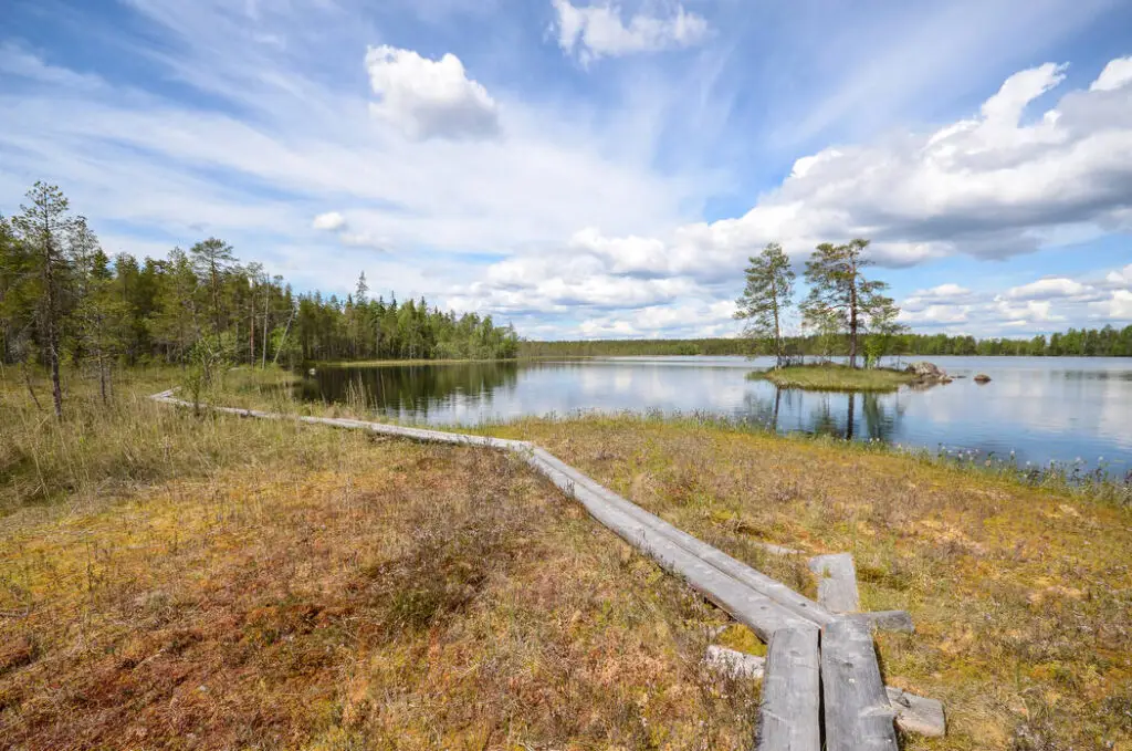 Salamajarvi vaellusreitti, retkeily, Ruskavaellus, Kansallispuisto. Ruska 2026, syysvaellus, ruska, vaellus, Salamajärven kansallispuisto. Ulkoilma Akatemia, Ulkoilma-akatemia, ulkoilmaakatemia. 2026