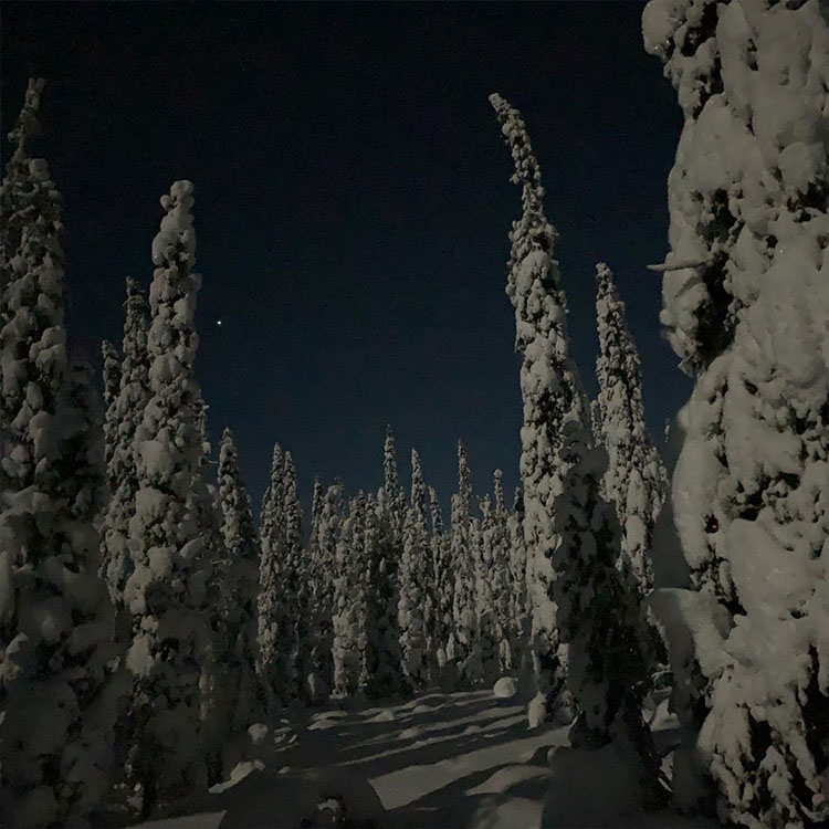 Talvivaellus Syötteen kansallispuisto 2025. Tykkylumi ja tykkypuut sekä revontulet