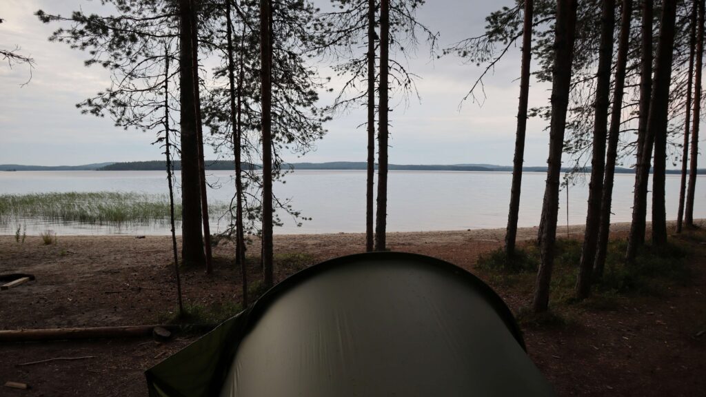 Kolin kansallispuisto, Rykiniemen ranta. Kuva Maarit Jääskeläinen