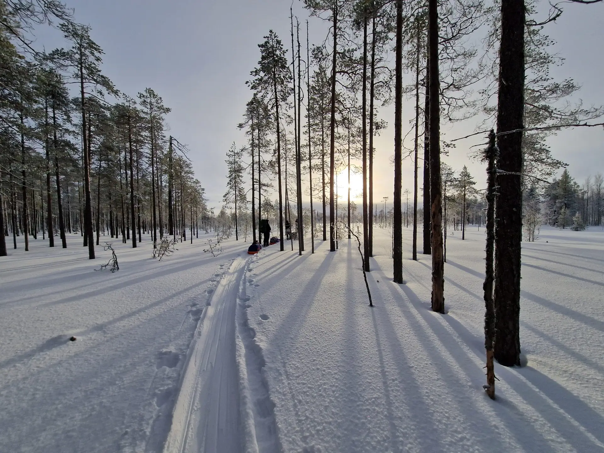 Hiihtovaellus, Patvinsuon kansallispuisto. Hiihtovaellusvarusteet, hiihtovaellus 2026, Varusteet hiihtovaellukselle. talvivaellus,
Hiihtovaellus, revontulet, hiihtovaellus varusteet, hiihtovaellus 2026, hiihtovaelluksella elämyksiä, hiihtovaellus kebnekaisen kierros. Vuokravarusteet, varusteiden vuokraus, talviteltta, talviteltan vuokraus, ahkion vuokraus, opastettu vaellus, ohjattu hiihtovaellus. Hiihtovaellusvarusteet lainaan, hiiihtovaellusvarusteiden vuokraus, talvimakuupussi, talvimakuualusta, keitinlaatikko, bensakeitin, MSR, Thermarest, MSR whisperlite. Jemtlander, Jemtlander ahkio, Jemtlander 17,