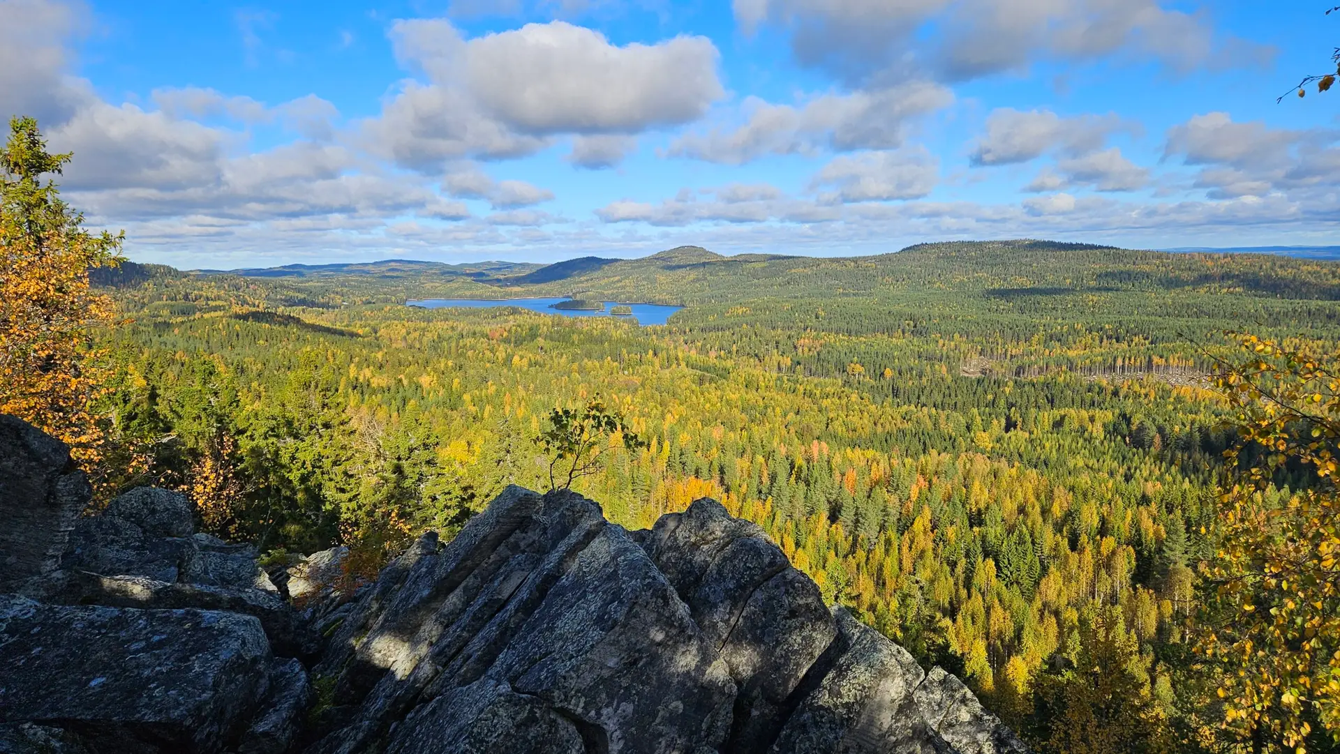 Ruskavaellus Kolin kansallispuisto 2026. Ruska, Koli, kansallispuisto. Perinnemaisema. Syyskuun, syksy, syysvaellus, ruskavaellus, ulkoilma akatemia, ulkoilma-akatemia, vaellus, vaellus 2026.