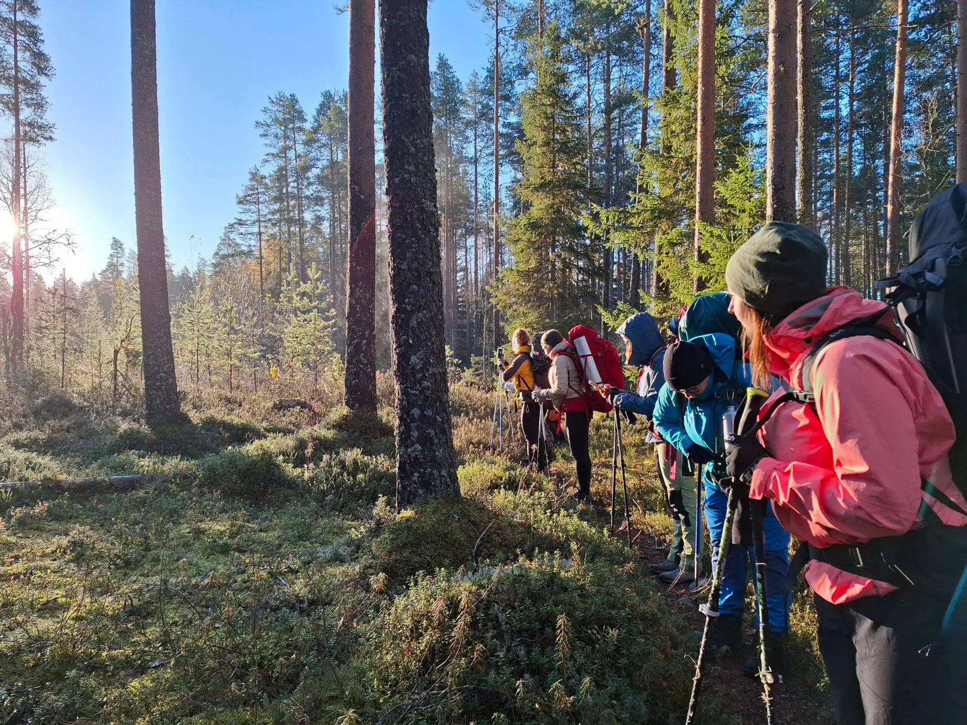Salamajarvi vaellusreitti, retkeily, Ruskavaellus, Kansallispuisto. Ruska 2026, syysvaellus, ruska, vaellus, Salamajärven kansallispuisto. Ulkoilma Akatemia, Ulkoilma-akatemia, ulkoilmaakatemia. 2026