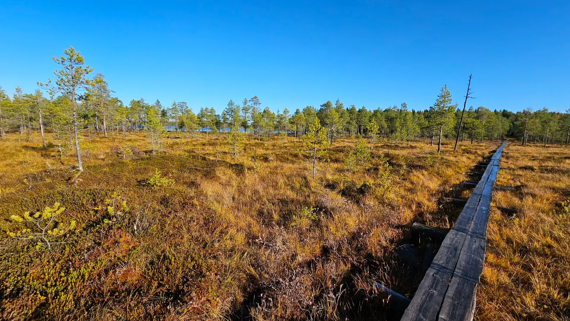 Salamajarvi vaellusreitti, retkeily, Ruskavaellus, Kansallispuisto. Ruska 2026, syysvaellus, ruska, vaellus, Salamajärven kansallispuisto. Ulkoilma Akatemia, Ulkoilma-akatemia, ulkoilmaakatemia. 2026