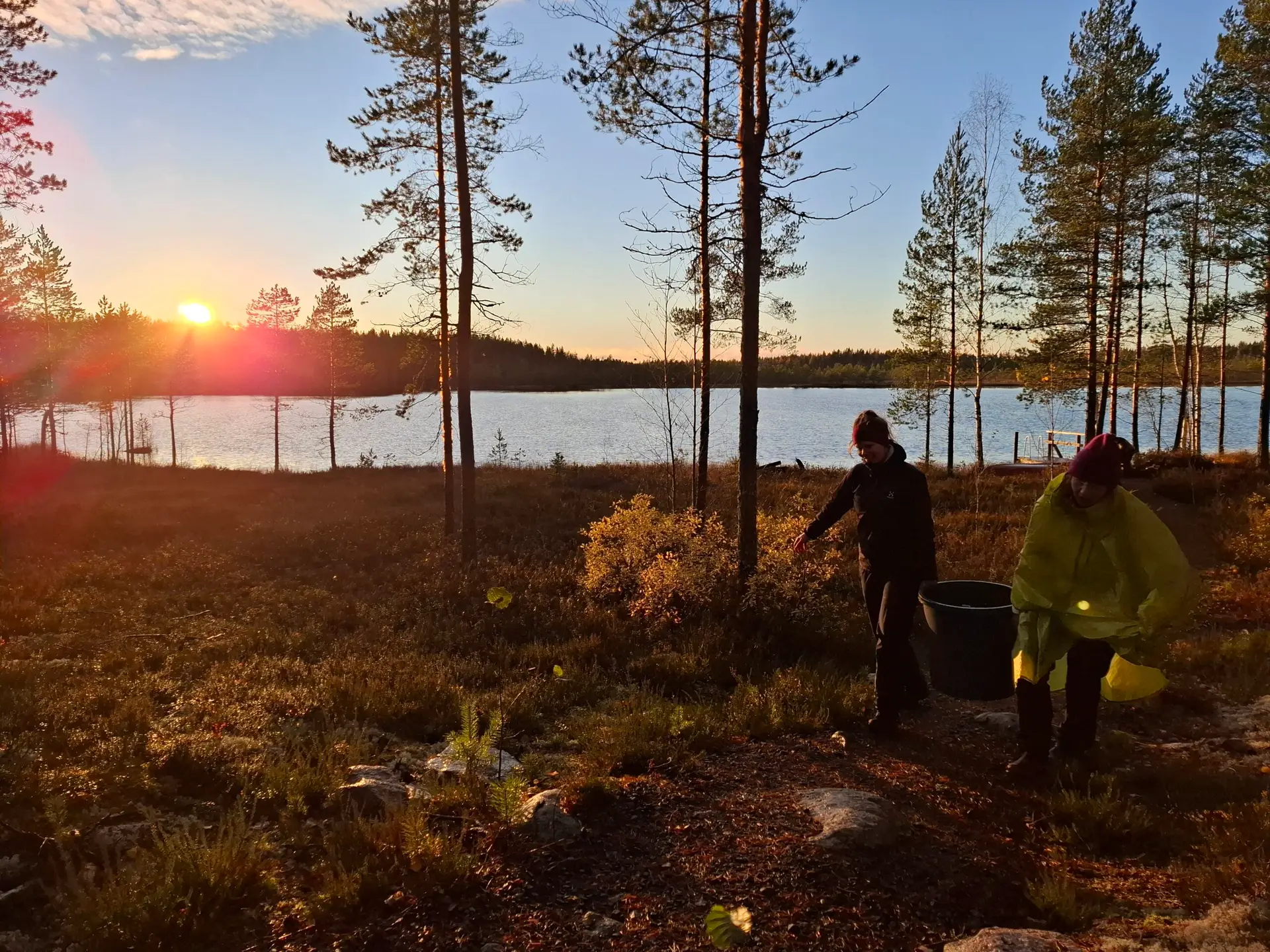 Salamajarvi vaellusreitti, retkeily, Ruskavaellus, Kansallispuisto. Ruska 2026, syysvaellus, ruska, vaellus, Salamajärven kansallispuisto. Ulkoilma Akatemia, Ulkoilma-akatemia, ulkoilmaakatemia. 2026