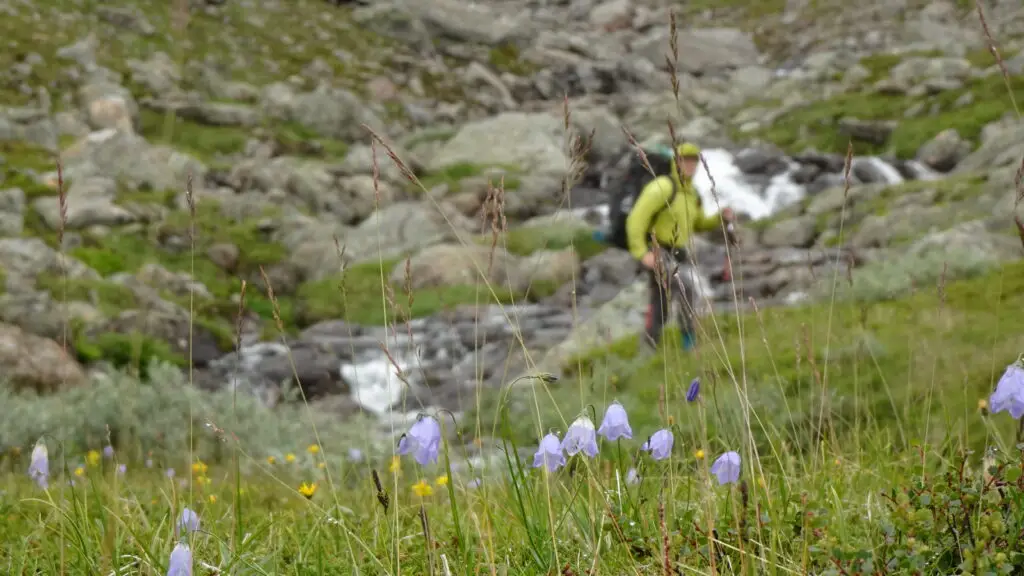Halti, Haltin vaellus, vaellus Haltille. Käsivarren erämaa, erämaavaellus, Saivaara, Meekonlaakso, Meekojärvi, vaellus 2026, kalottireitti, Suomen korkein kohta. 