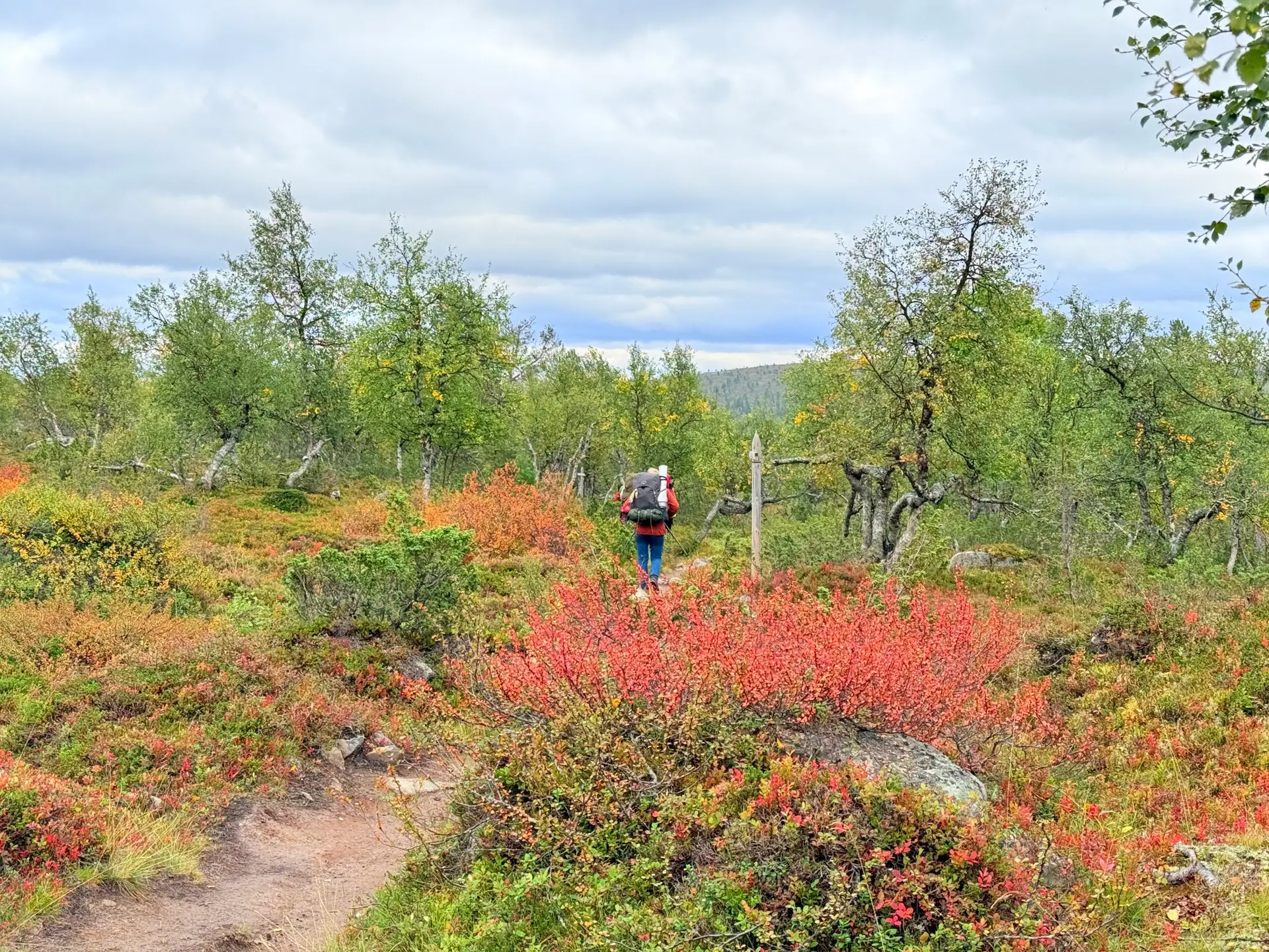 Ruskavaellus Hetta-Pallas 2026, Hetta-Pallas, Hetta-Pallas vaellusreitti, Hetta-Pallas vaellus 2026, Yötön yö, Yöttömän yön vaellus, Vaellus 2026, Rinkkavaellus 2026, rinkkavaellus, ruskavaellus lapissa, ruskavaellus tunturiin, tupavaellus, varaustuvat, tupa majoitus.