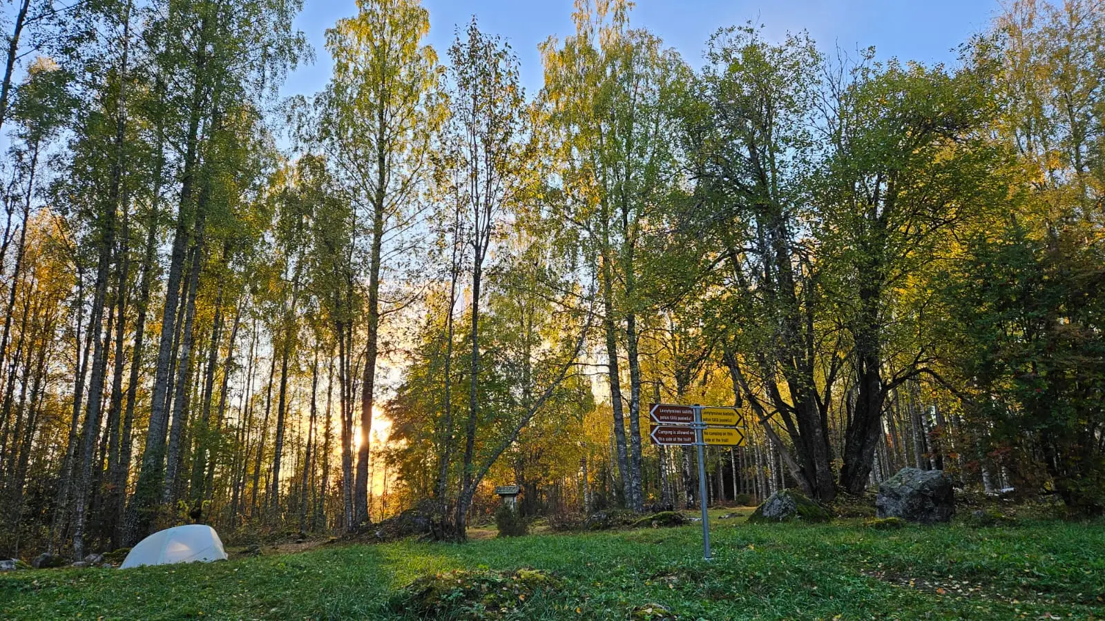 Ruskavaellus Kolin kansallispuisto 2026. Ruska, Koli, kansallispuisto. Perinnemaisema. Syyskuun, syksy, syysvaellus, ruskavaellus, ulkoilma akatemia, ulkoilma-akatemia, vaellus, vaellus 2026.