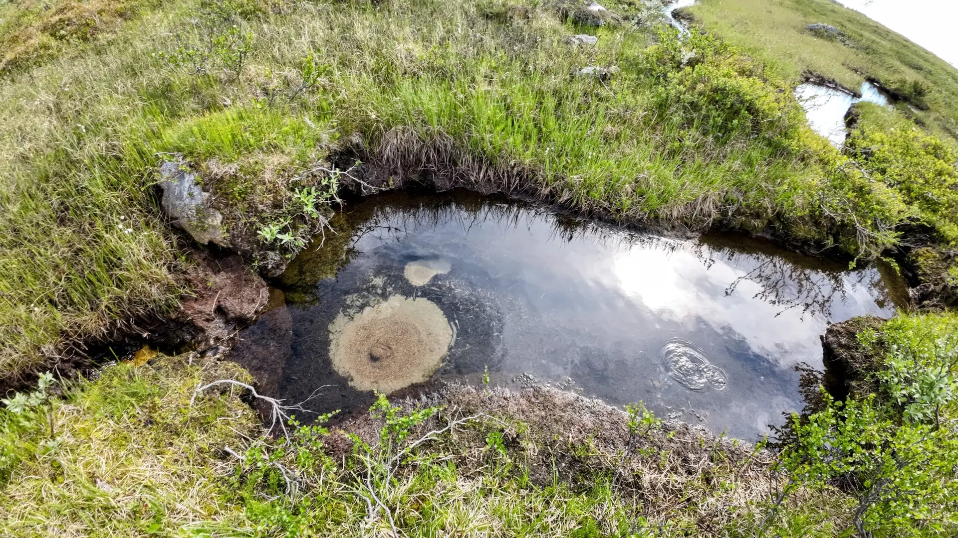 Hammastunturi, hammastunturin erämaa, erämaa, erämaavaellus 2026, ivalojoki, ivalon kultala, vaellus 2026, vaellus, vaeltaminen, helppo erämaavaellus, ruska, ruskavaellus, ruskavaellus 2026, ohjattu vaellus, opastettu vaellus, vaellusopas. Ulkoilma akatemia, ulkoilma-akatemia