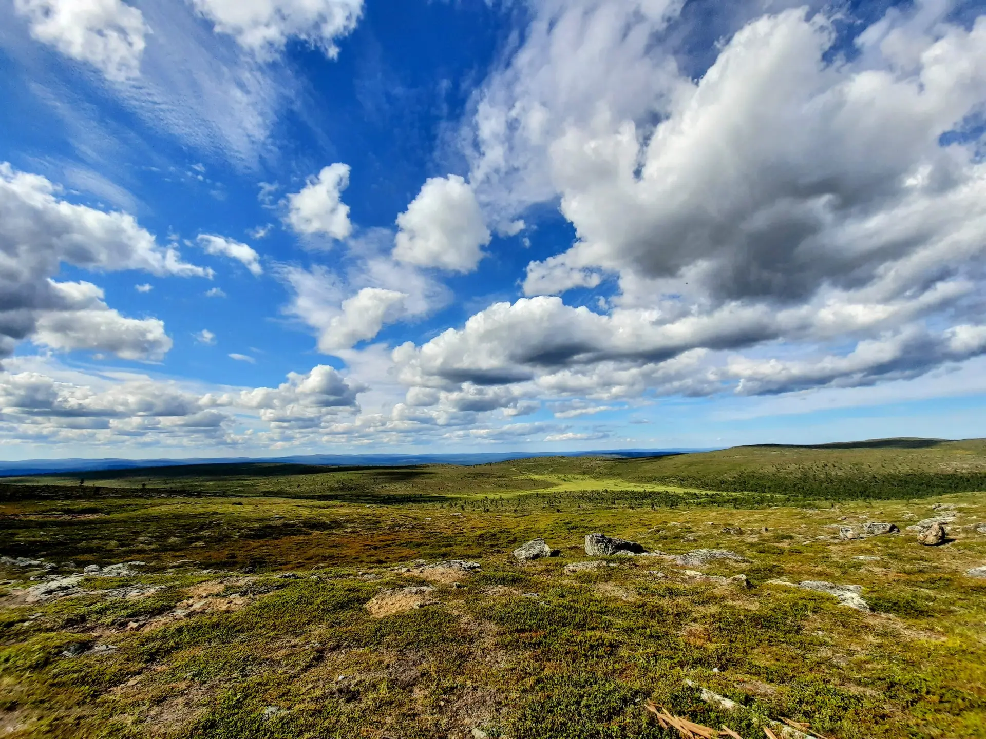 Hammastunturi, hammastunturin erämaa, erämaa, erämaavaellus 2026, ivalojoki, ivalon kultala, vaellus 2026, vaellus, vaeltaminen, helppo erämaavaellus, ruska, ruskavaellus, ruskavaellus 2026, ohjattu vaellus, opastettu vaellus, vaellusopas. Ulkoilma akatemia, ulkoilma-akatemia