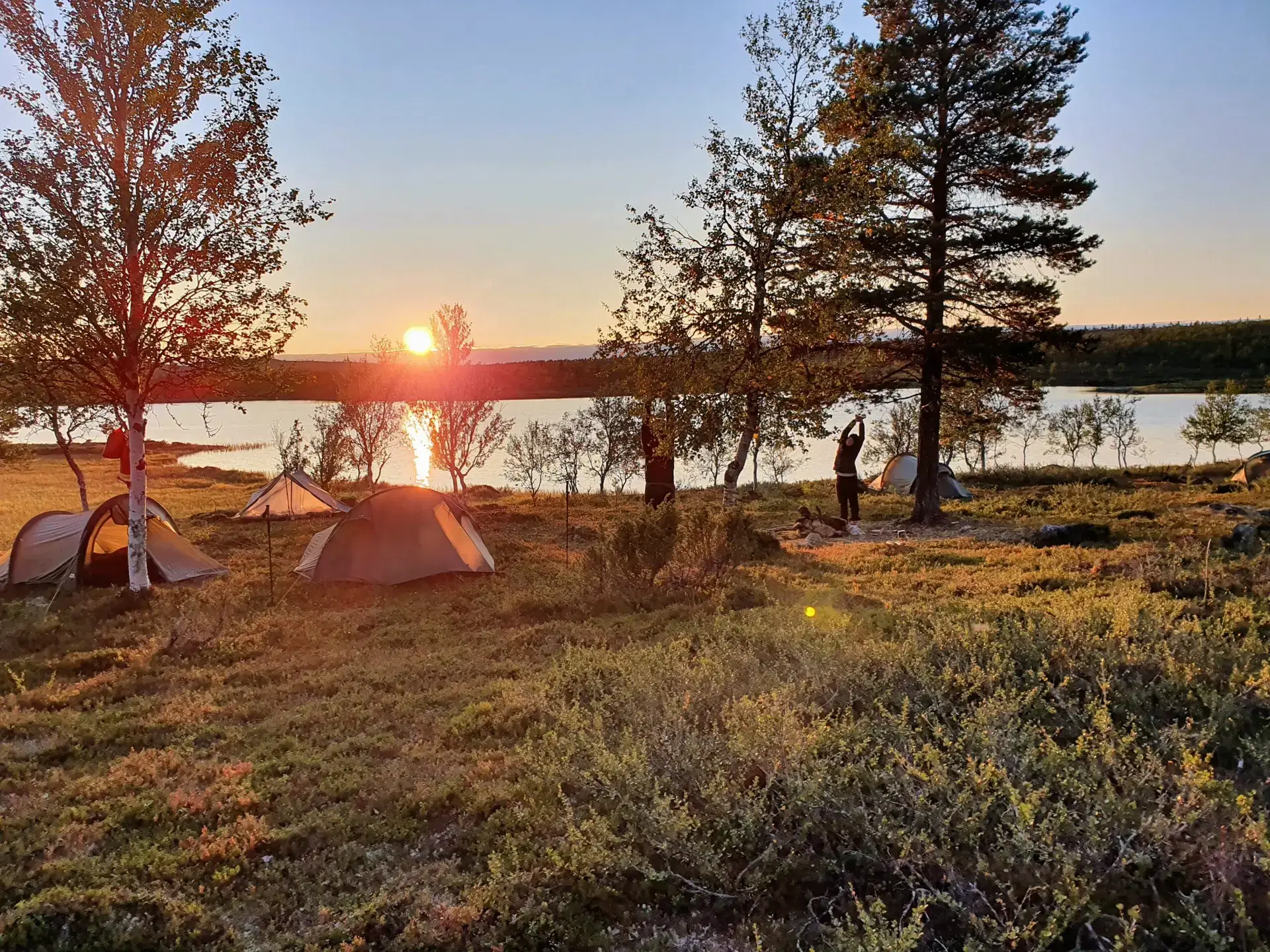 Hammastunturi, hammastunturin erämaa, erämaa, erämaavaellus 2026, ivalojoki, ivalon kultala, vaellus 2026, vaellus, vaeltaminen, helppo erämaavaellus, ruska, ruskavaellus, ruskavaellus 2026, ohjattu vaellus, opastettu vaellus, vaellusopas. Ulkoilma akatemia, ulkoilma-akatemia