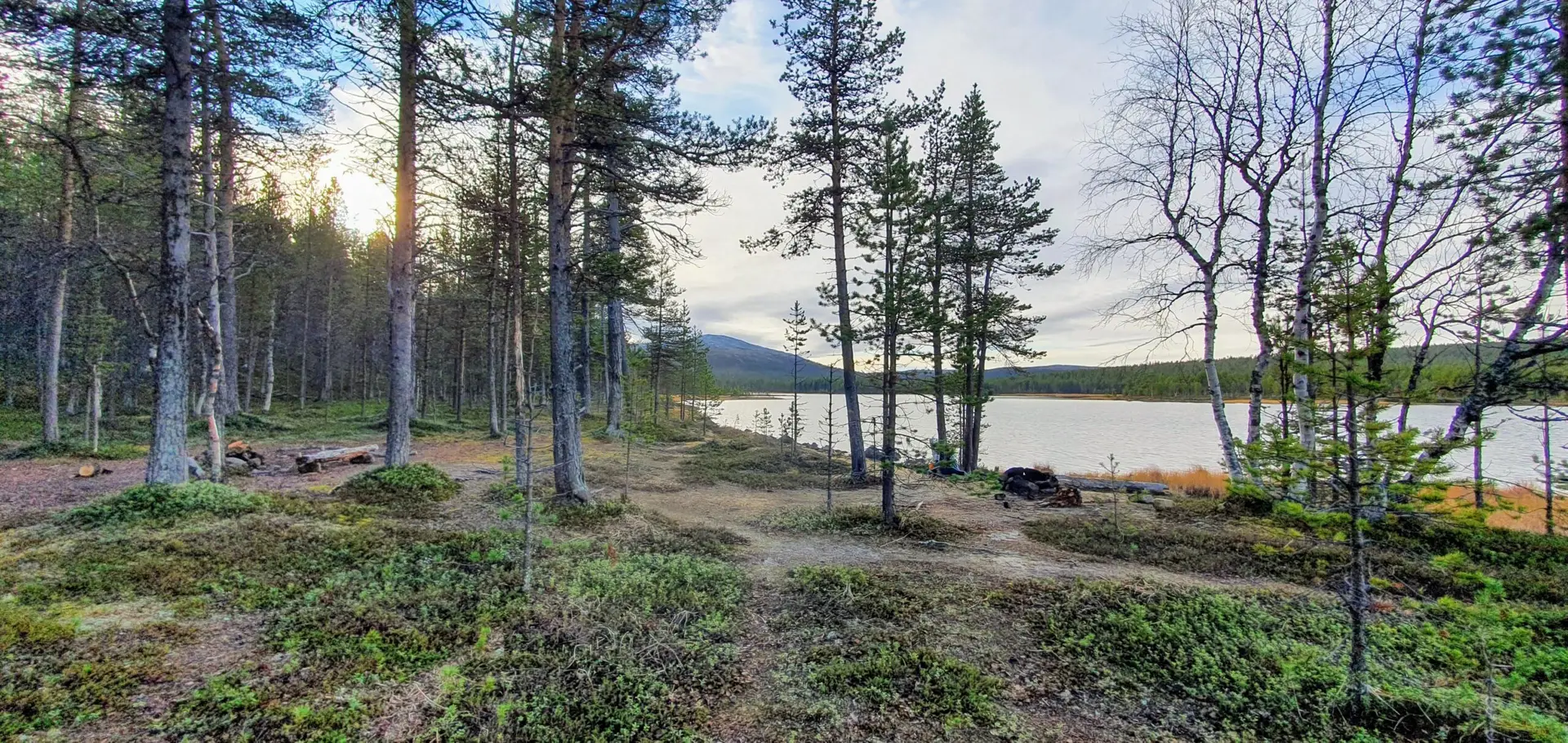 Hammastunturi, hammastunturin erämaa, erämaa, erämaavaellus 2026, ivalojoki, ivalon kultala, vaellus 2026, vaellus, vaeltaminen, helppo erämaavaellus, ruska, ruskavaellus, ruskavaellus 2026, ohjattu vaellus, opastettu vaellus, vaellusopas. Ulkoilma akatemia, ulkoilma-akatemia