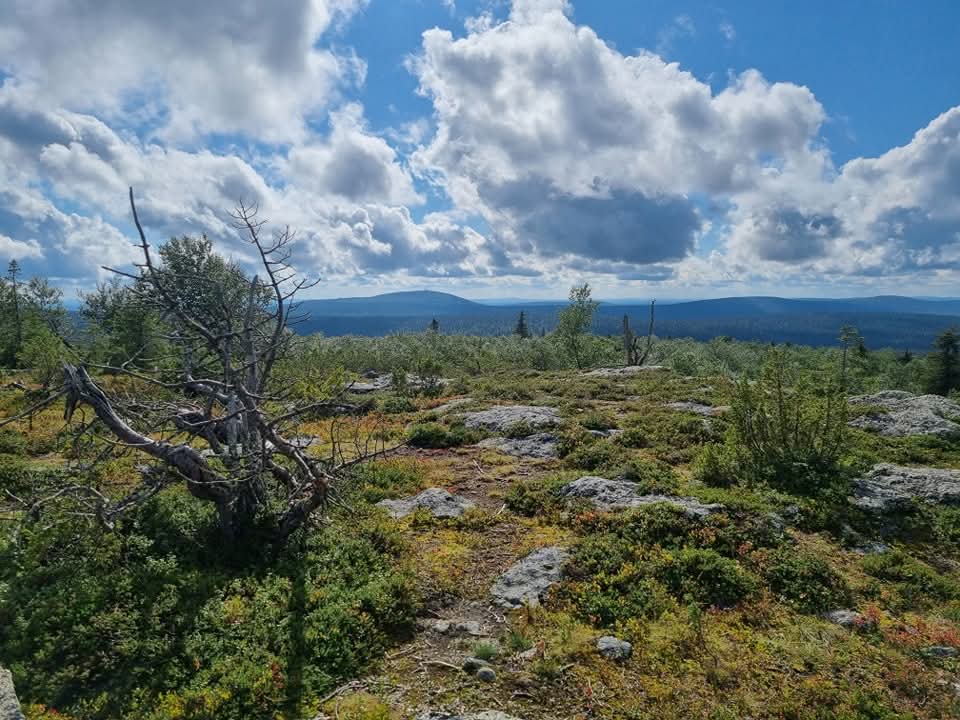 Tuntsa, Tuntsan vaellus, vaellus, ukk, ukk-reitti. erämaasauna, erämaa, erämaavaellus 2026, 2026.  Naruska, Naruskan retkeilymaja, Tulppio.