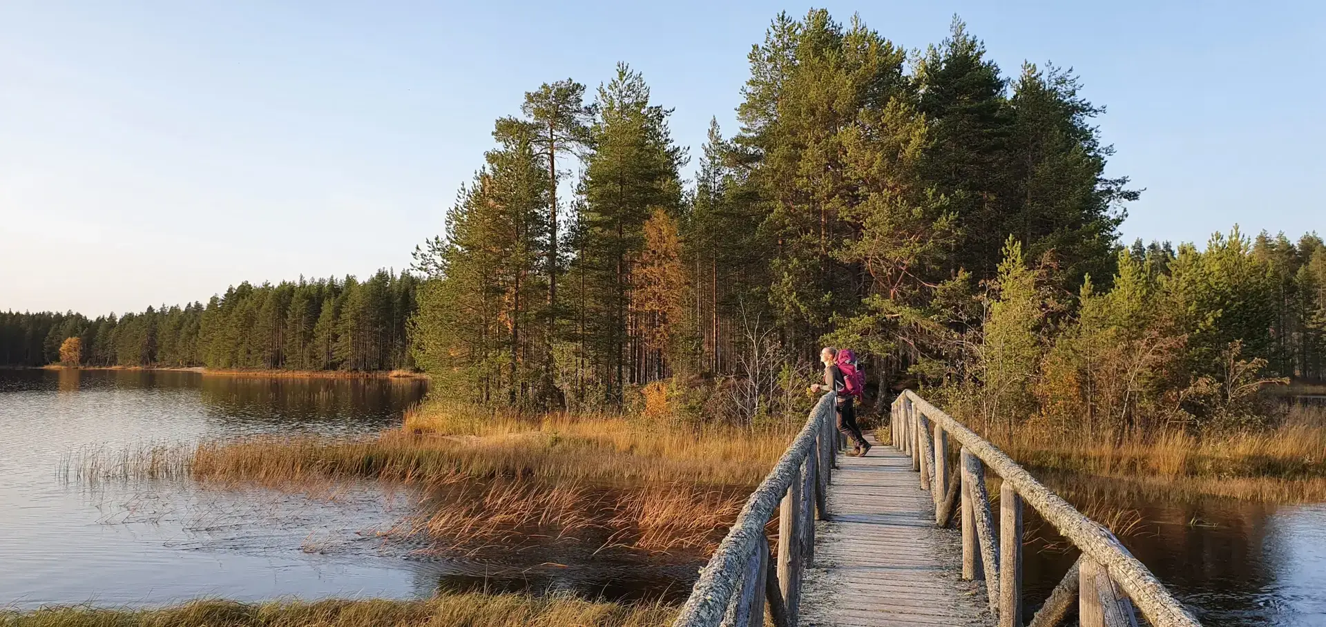 Ruskavaellus 2026, Patvinsuon kansallispuisto, syysvaellus, syksy, ruska, ruskavaellus, Patvinsuo, Patvinsuon, Lieksa, Koli, Kolin vaellus, 